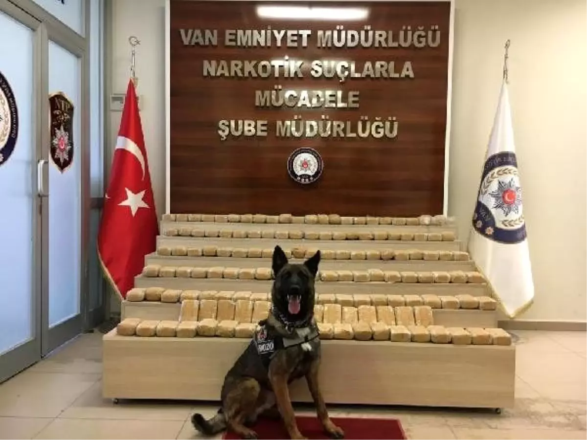 Otomobilin koltuk döşemelerinde 71 kilo eroin ele geçirildi