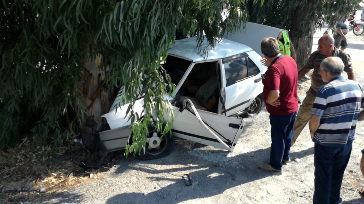 Söke\'de ağaca çarpan otomobilin sürücüsü ağır yaralandı