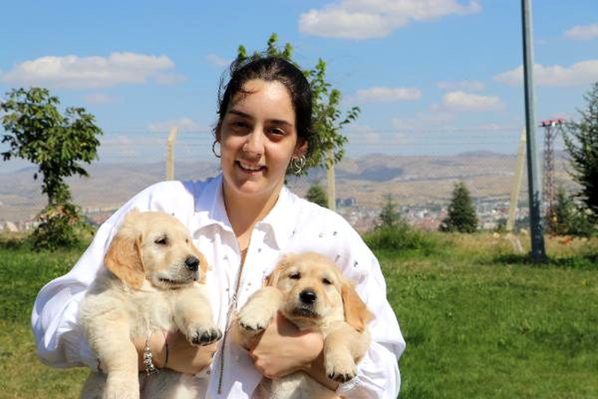 Üniversiteli burcu, görme engellilere rehber köpek eğitiyor