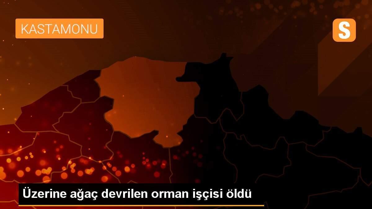 Üzerine ağaç devrilen orman işçisi öldü