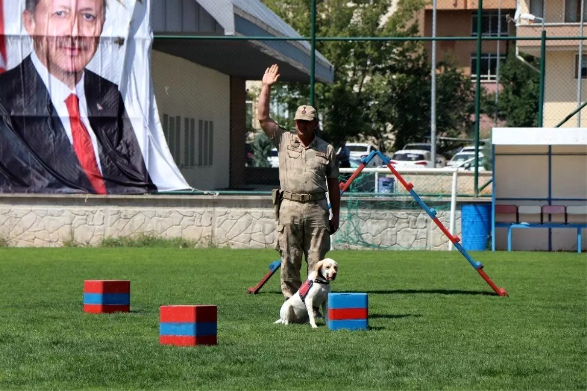 30 Ağustos Zafer Bayramı gösterilerine eğitimli köpeklerin gösterisi damga vurdu