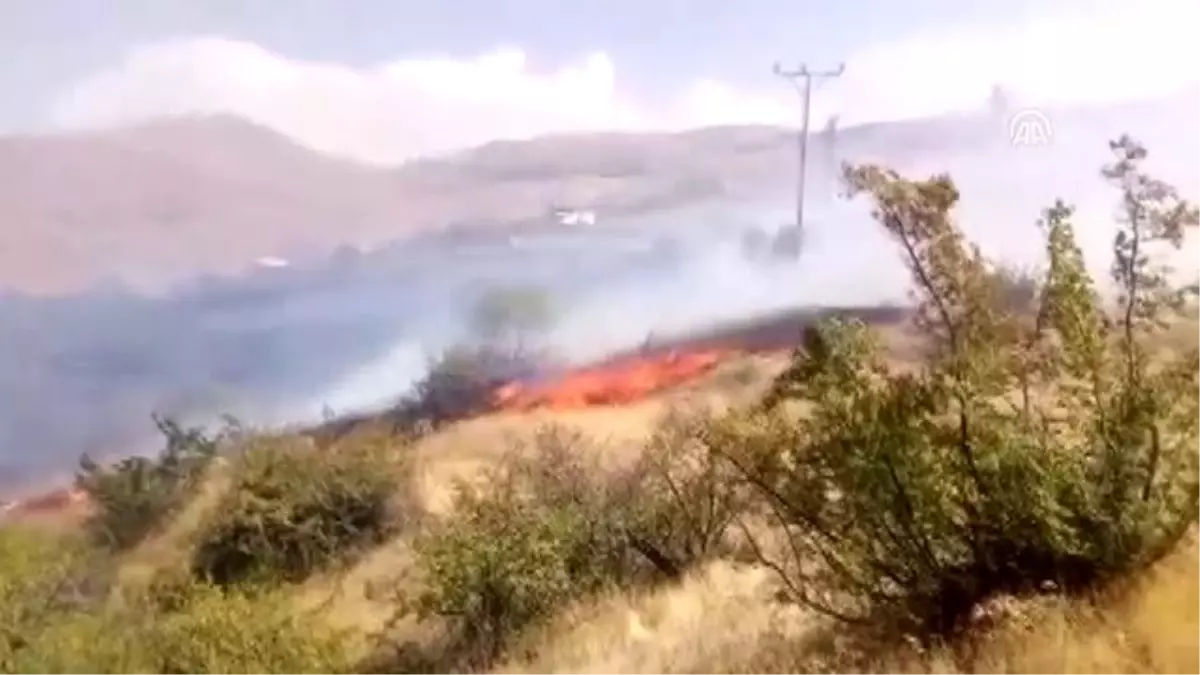 5 mahallede çıkan yangında 170 dekar alan zarar gördü