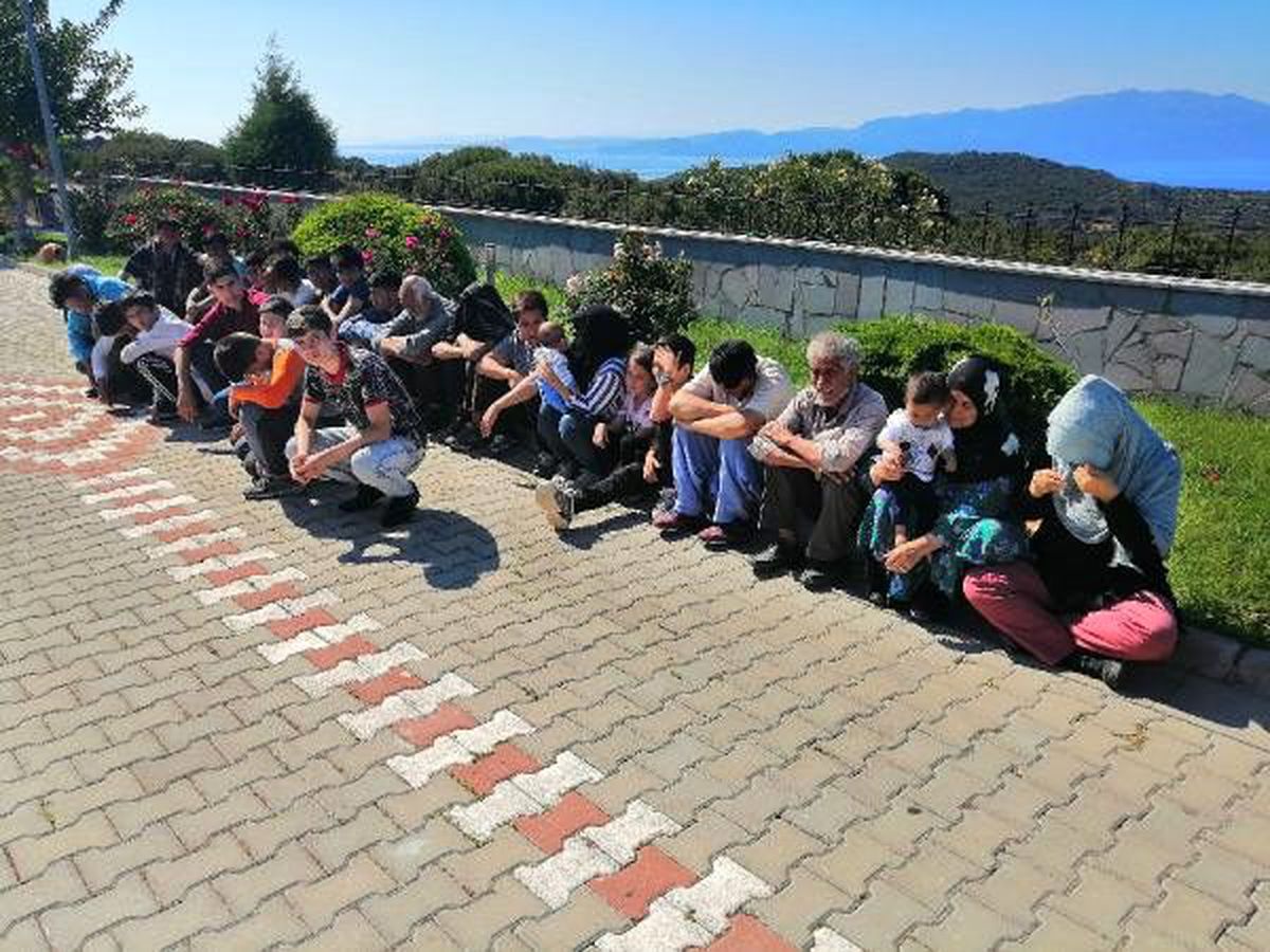 Ağaç altında 106 kaçak göçmen yakalandı