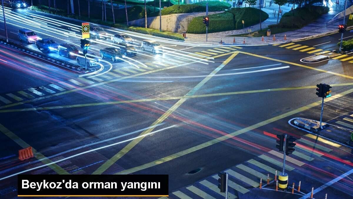 Beykoz\'da orman yangını