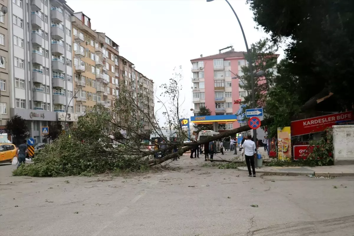 Elazığ\'da sağanak ve fırtına etkili oldu