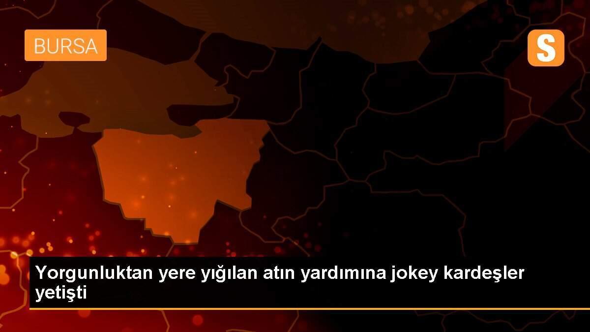 Yorgunluktan yere yığılan atın yardımına jokey kardeşler yetişti