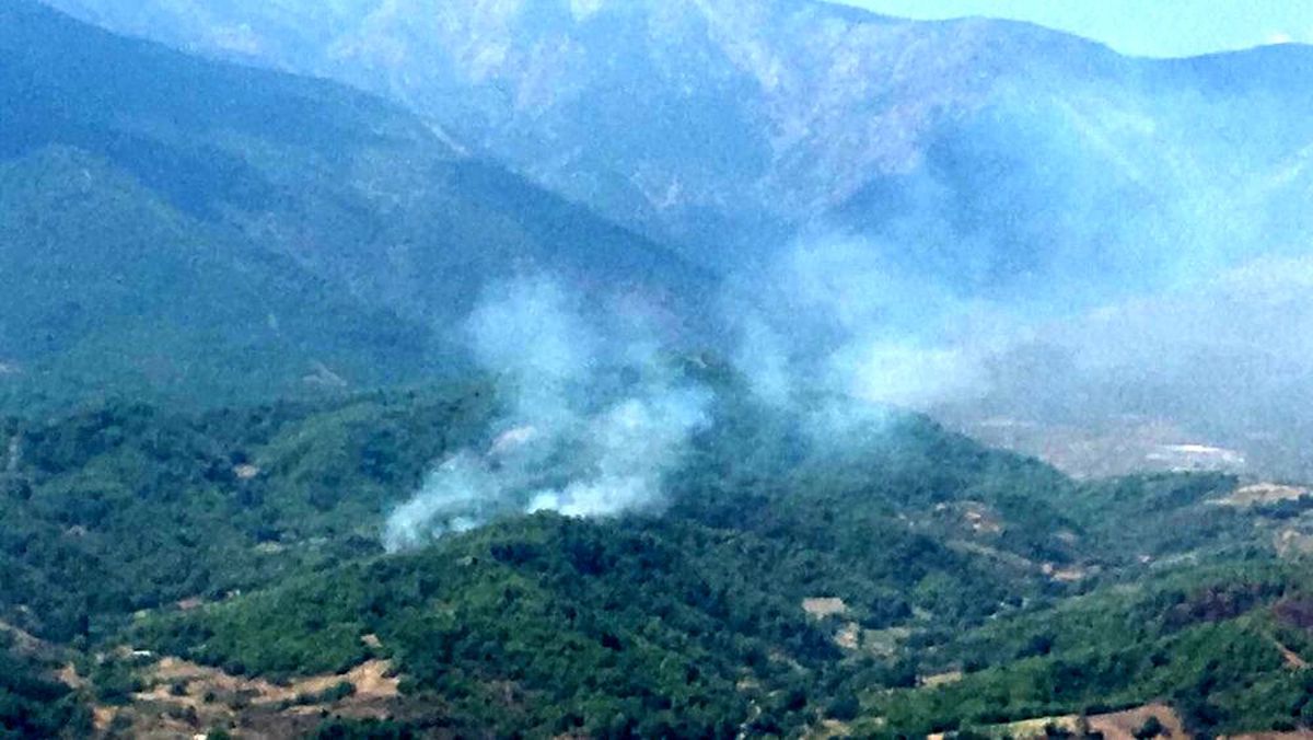 Hatay\'da çıkan orman yangını büyümeden söndürüldü