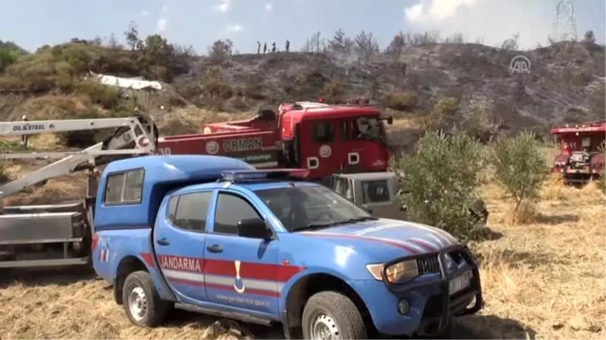 Hatay\'da orman yangını