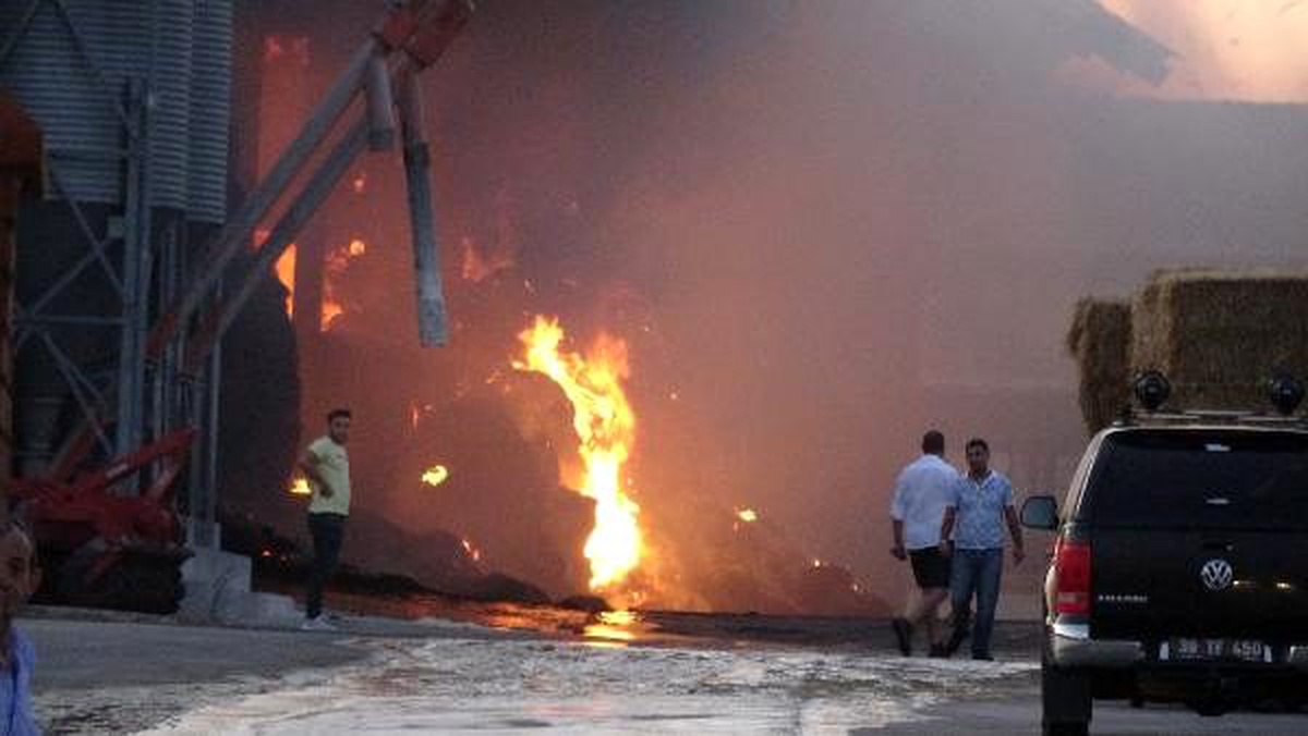 Kırklareli\'de büyükbaş hayvanların bulunduğu çiftlikte yangın çıktı