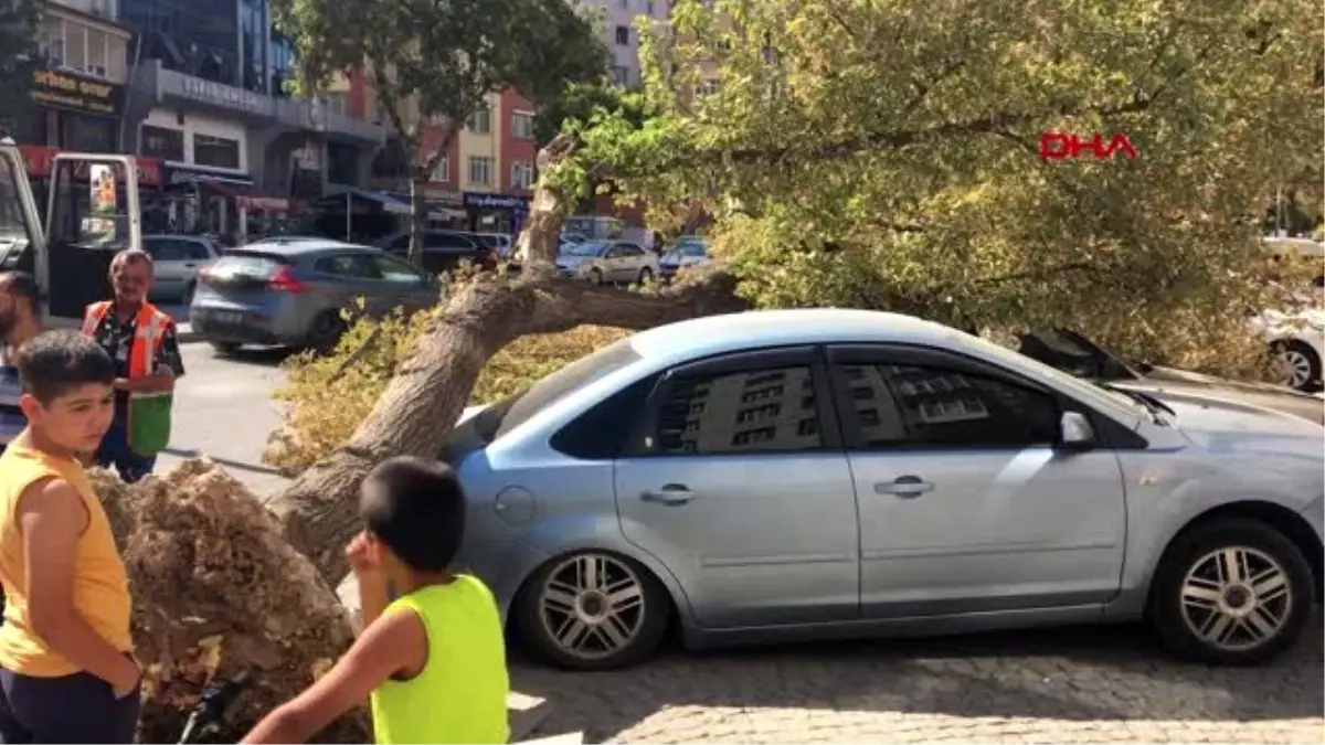 Konya tır\'ın çarptığı ağaç park halindeki otomobillerin üzerine devrildi