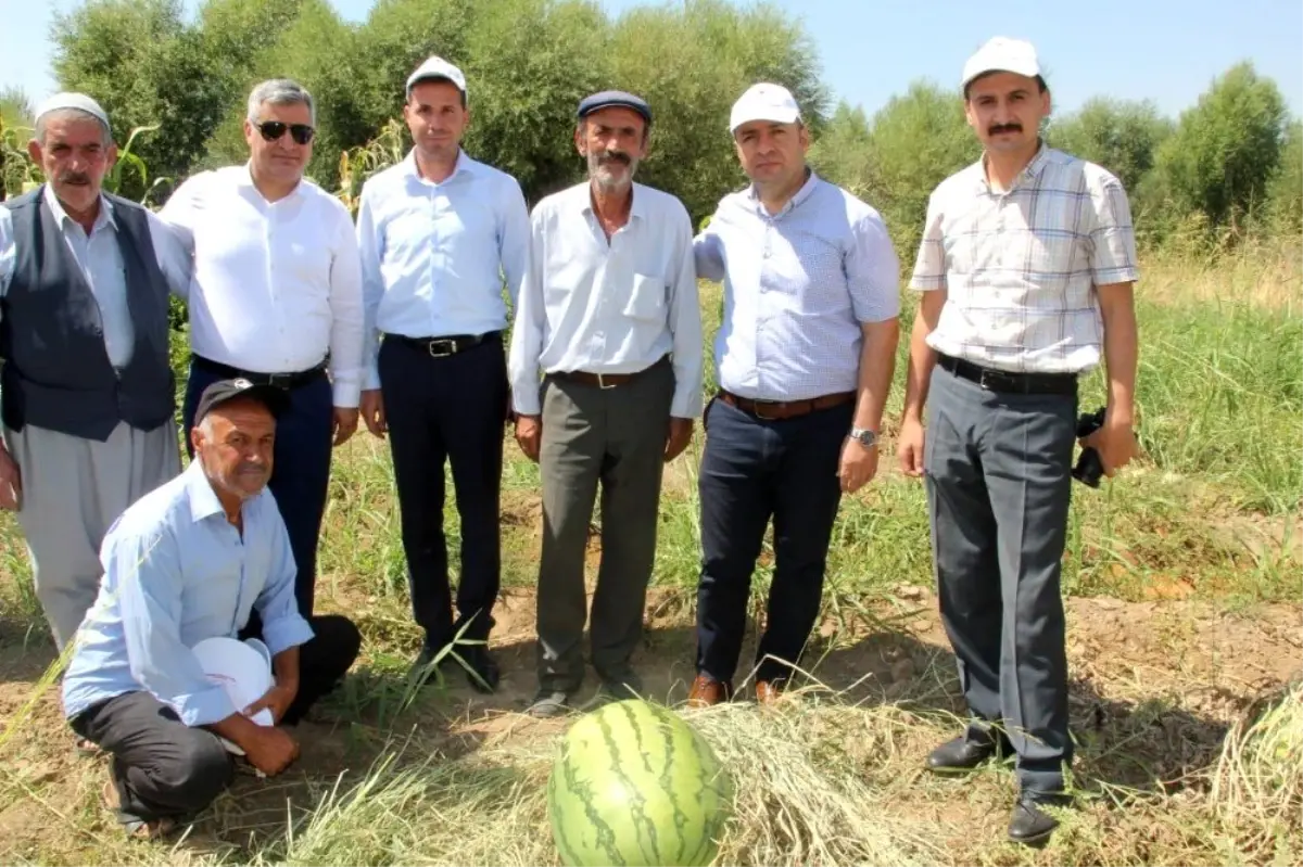 Sur Kaymakamı Abdullah Çiftçi, karpuz tarlasını ziyaret etti