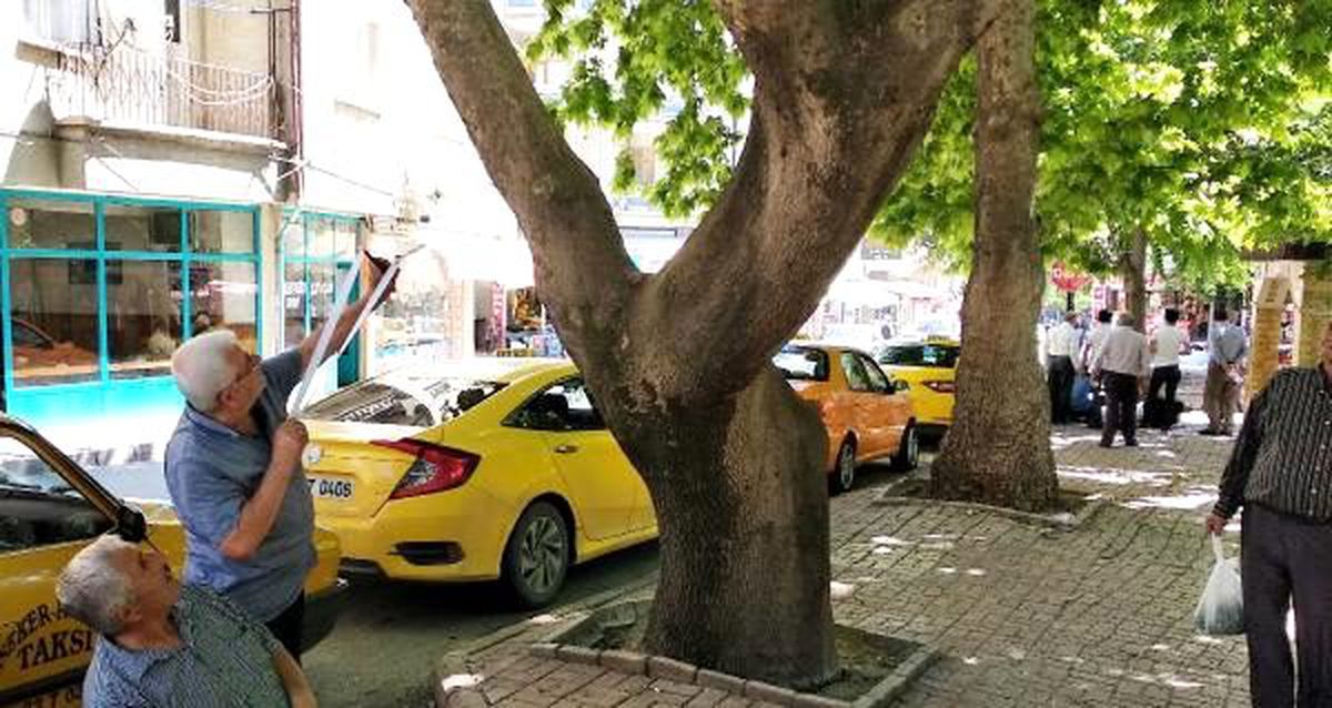 Taksicilerden kargalara karşı sapanlı nöbet