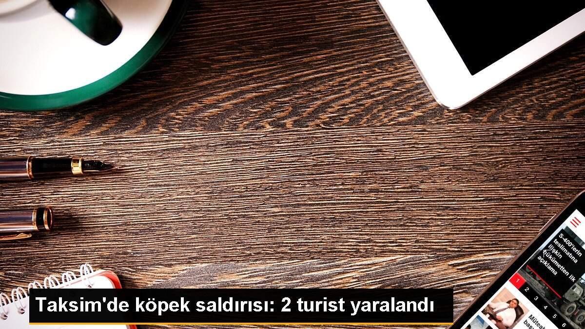 Taksim’de köpek saldırısı 2 turist yaralandı Son Dakika
