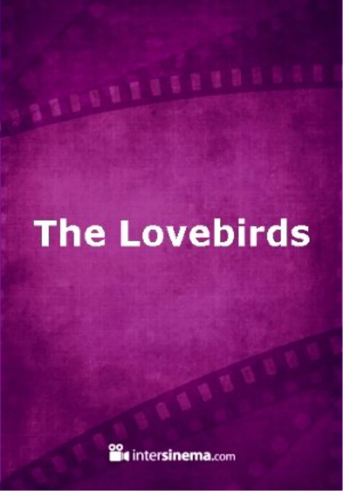 The Lovebirds Filmi