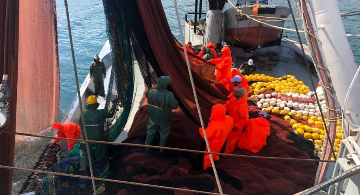 Av yasağı bitti: Balıkçılar, 30 yılda sezonun ilk gününde ilk kez bu kadar az palamut yakaladı