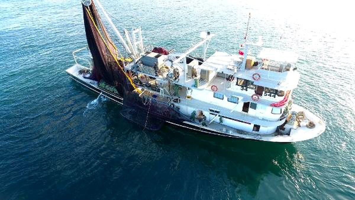 Av yasağı bitti, sinop\'ta tezgahlar şenlendi
