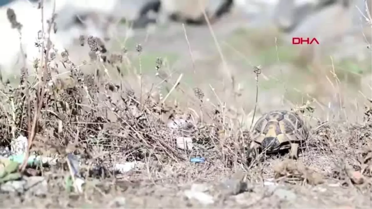 Belediye başkanı kartoğlu, iki çocuğuyla çöp topladı