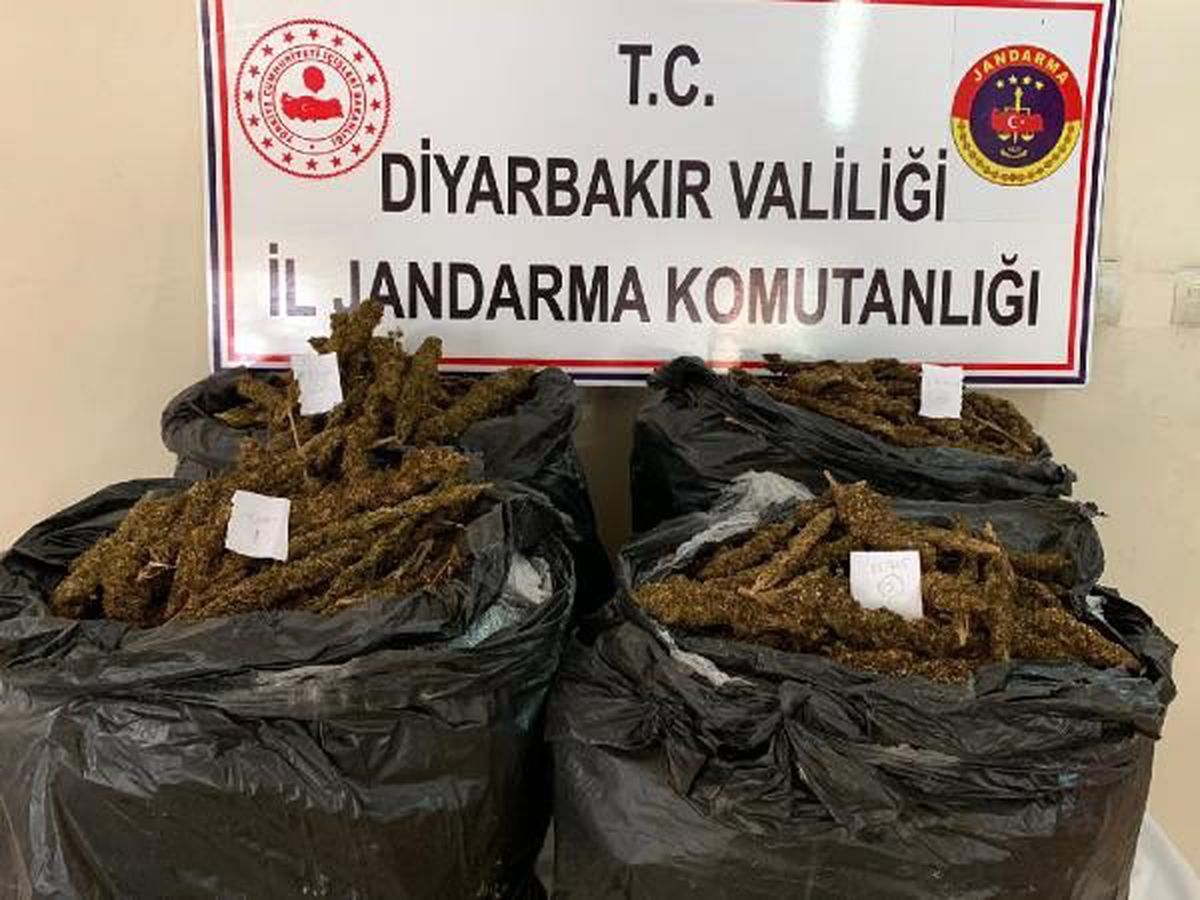 Bismil\'de 66 kilo esrar ele geçirildi