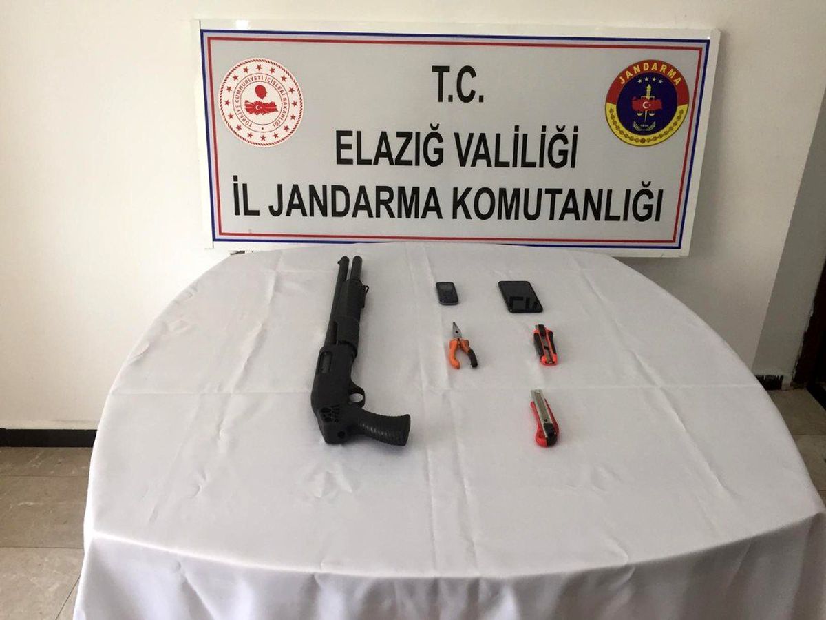 Elazığ\'da jandarma ekipleri hırsızları suç üstü yakaladı