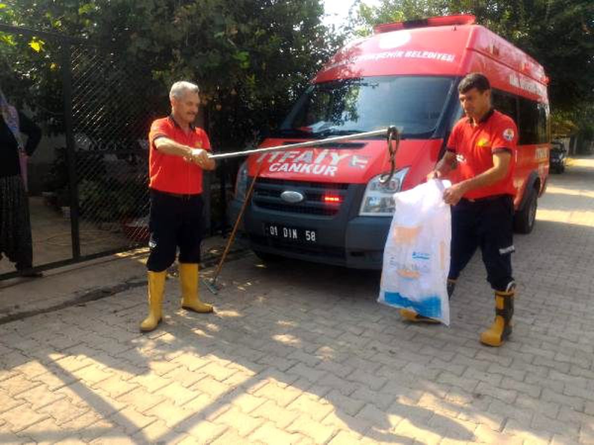 Evdeki yılan paniğe neden oldu