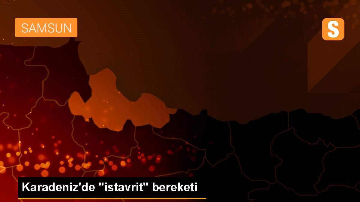 Karadeniz\'de "istavrit" bereketi