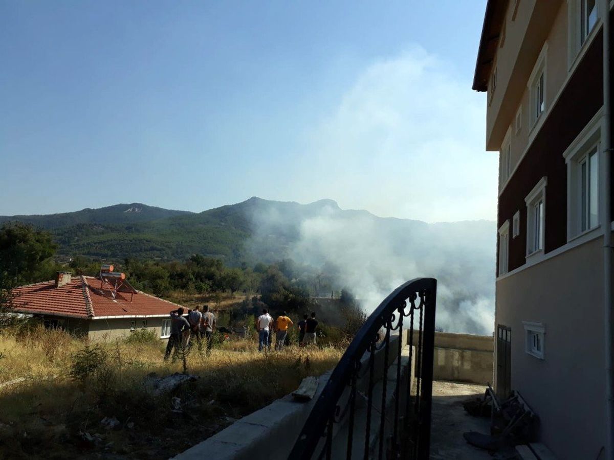Ot yangını korkuttu