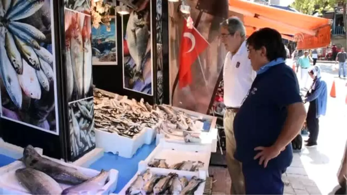 "Palamut" beklentiyi karşılamadı