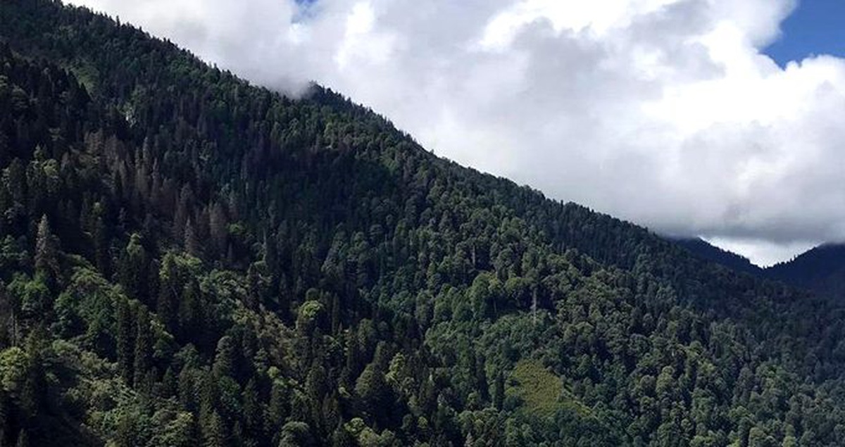Rize\'de yaylaya çıkmak isteyen 6 kişiden haber yok! Arama çalışmaları devam ediyor