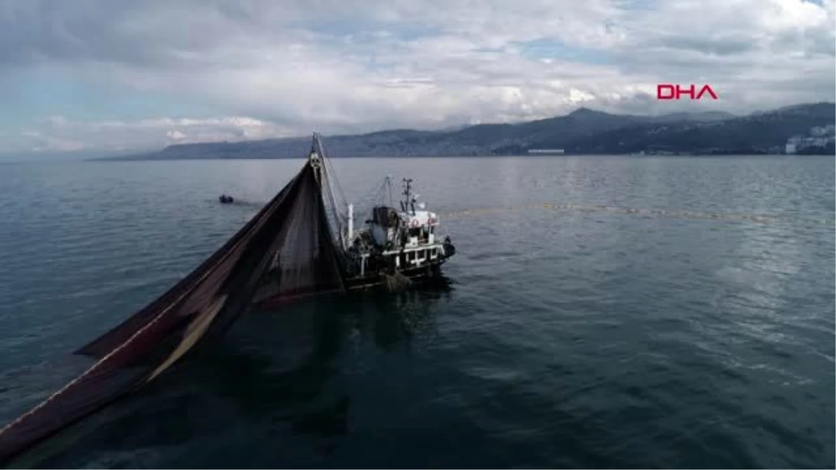 Trabzon av sezonu başladı, trabzon\'da ağlara istavrit takıldı