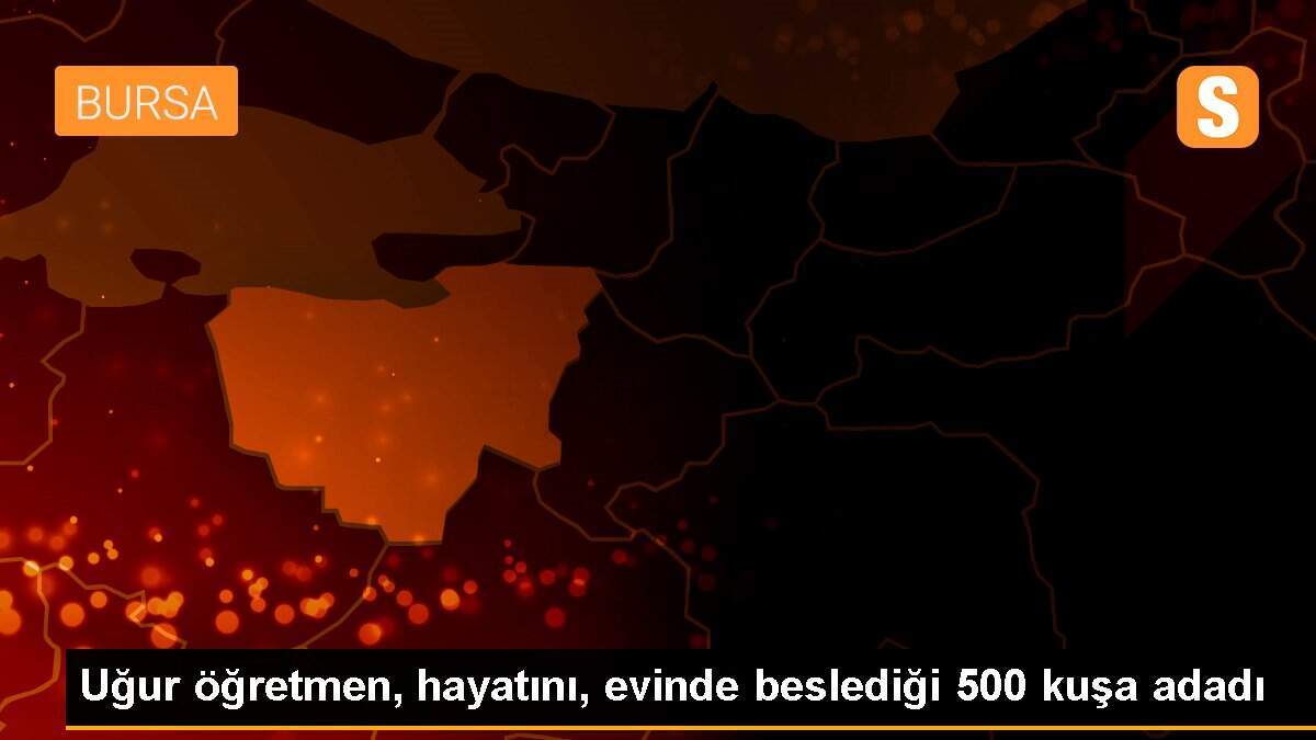Uğur öğretmen, hayatını, evinde beslediği 500 kuşa adadı