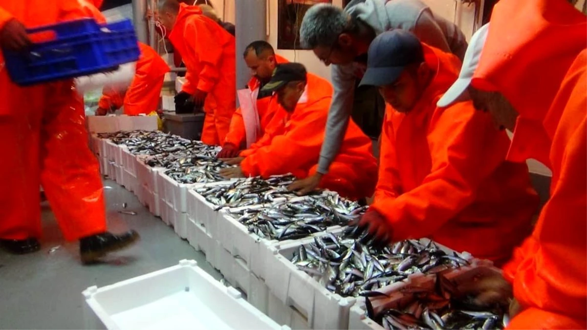 Yasak sona erdi balıkçılar "Vira Bismillah" dedi