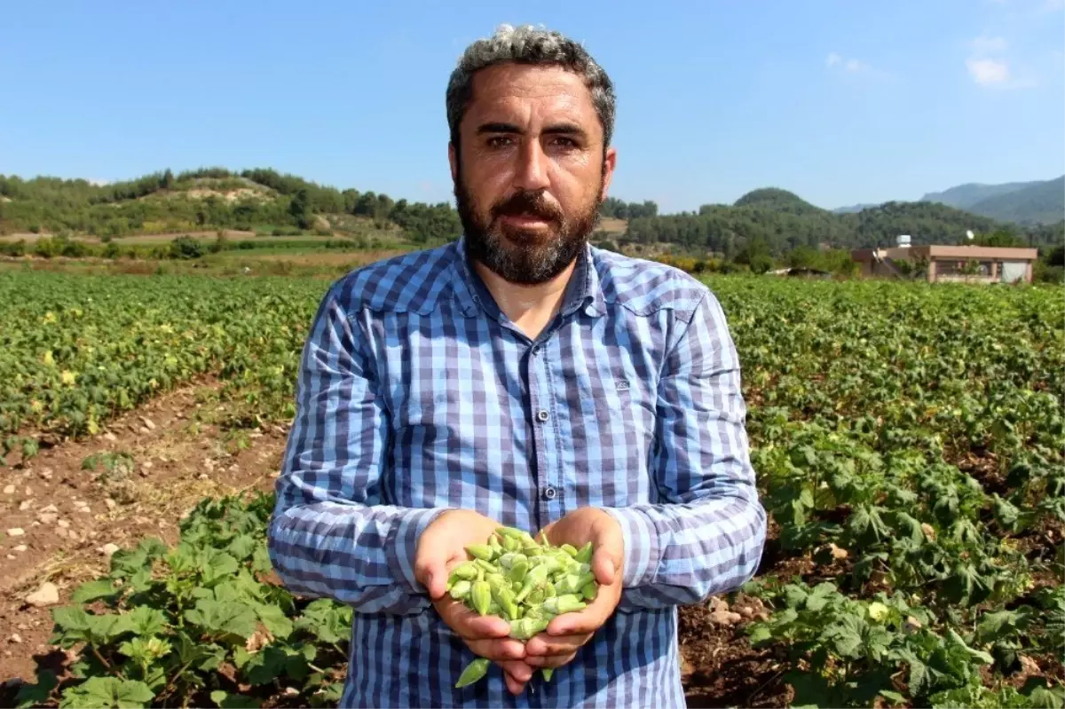 Yöneticiliği bırakıp çiftçi oldu, "Huzuru tarımda buldum" dedi