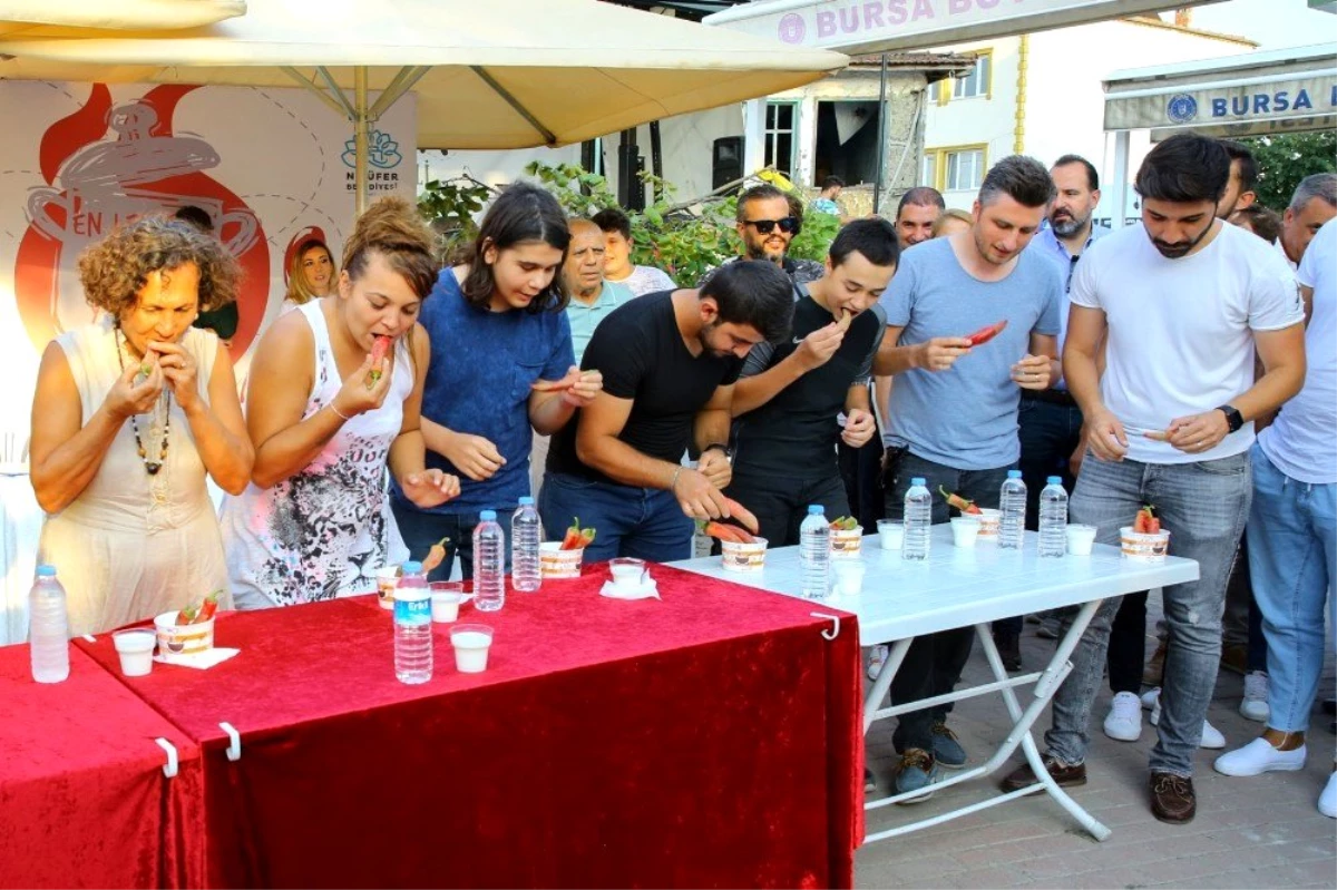 "Acı tatlı festival"