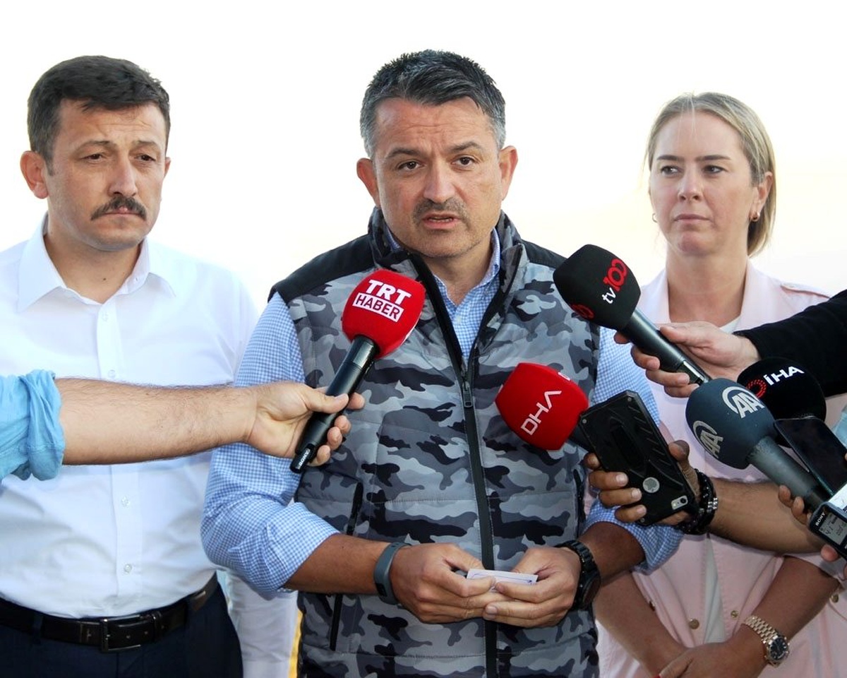 Bakan Pakdemirli\'den yangınlara ilişkin açıklama