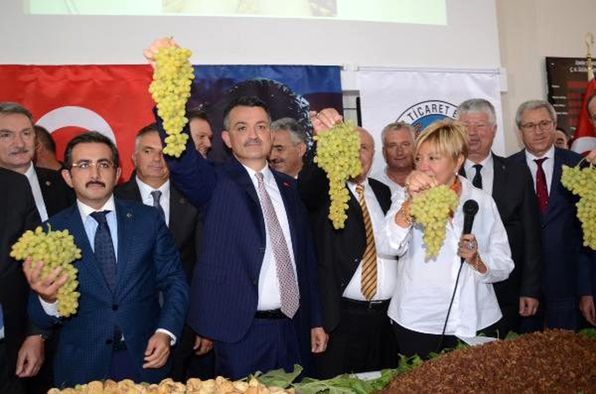 Bakan pakdemirli: tmo kuru üzüm alımı yapacak