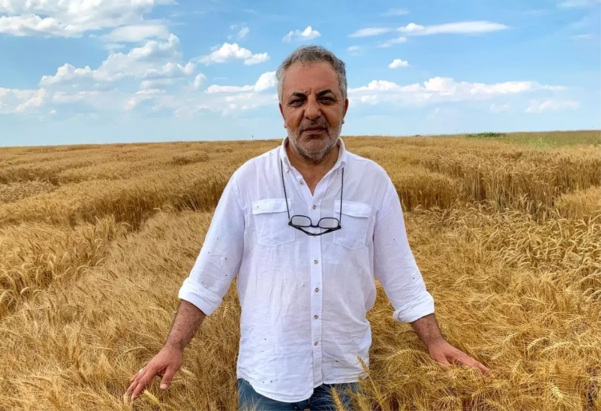 BİSAB\'dan yerli tohum uyarısı