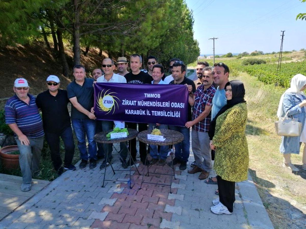 "Çavuş üzümü" gezisi