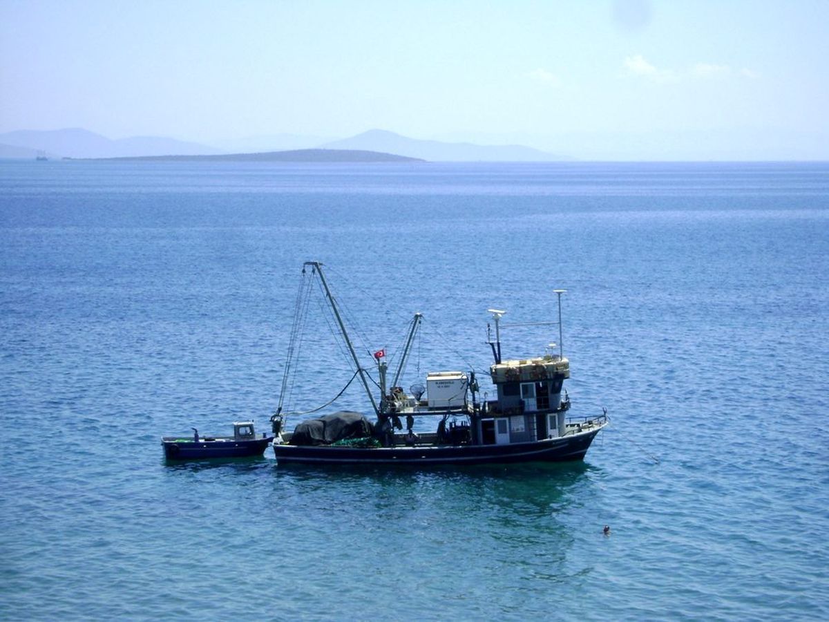 Didim\'de balıkçılar denize açıldı