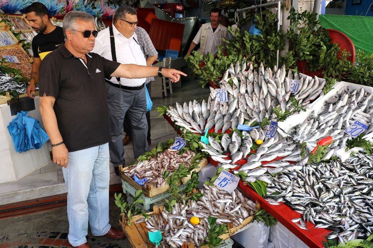 Edirne\'de balık tezgahları hareketlendi, hamsi dolardan hızlı düşüyor