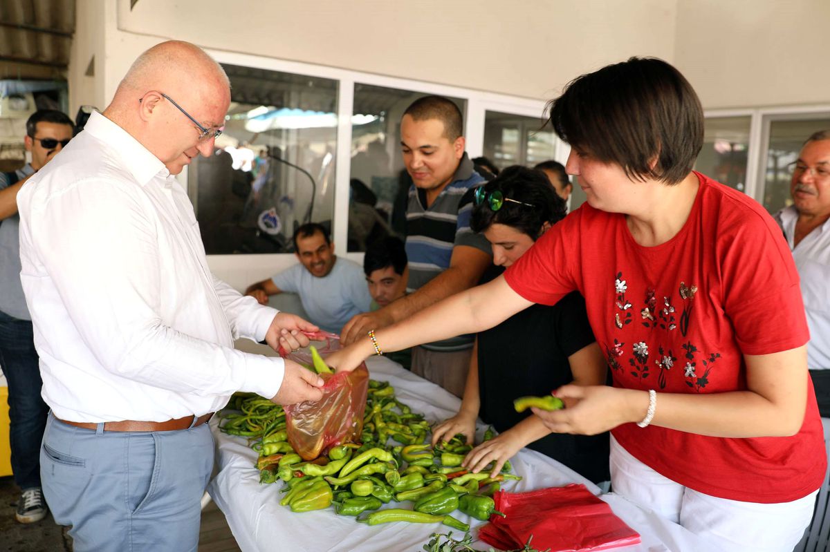 Engelsiz tarım ile ilk hasadı yaptılar