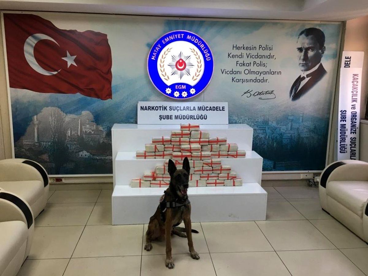 Hatay\'da 40 kilo eroin ele geçirildi