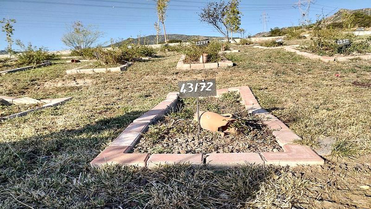 İzmir\'de sahipsiz Aylan bebeklerin mezarlığı: 412 numaralı ada