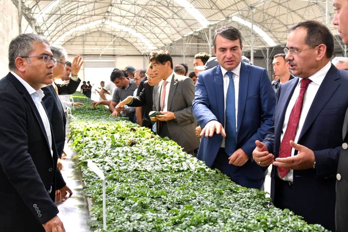 Japonlardan Bafra\'ya tarım yatırımı