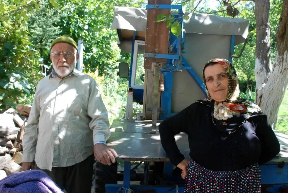 Kadın hızarcı, ekmeğini odundan çıkartıyor