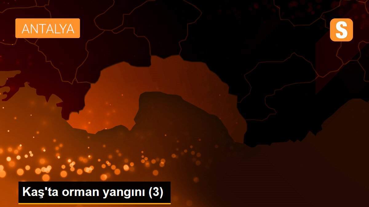 Kaş\'ta orman yangını (3)