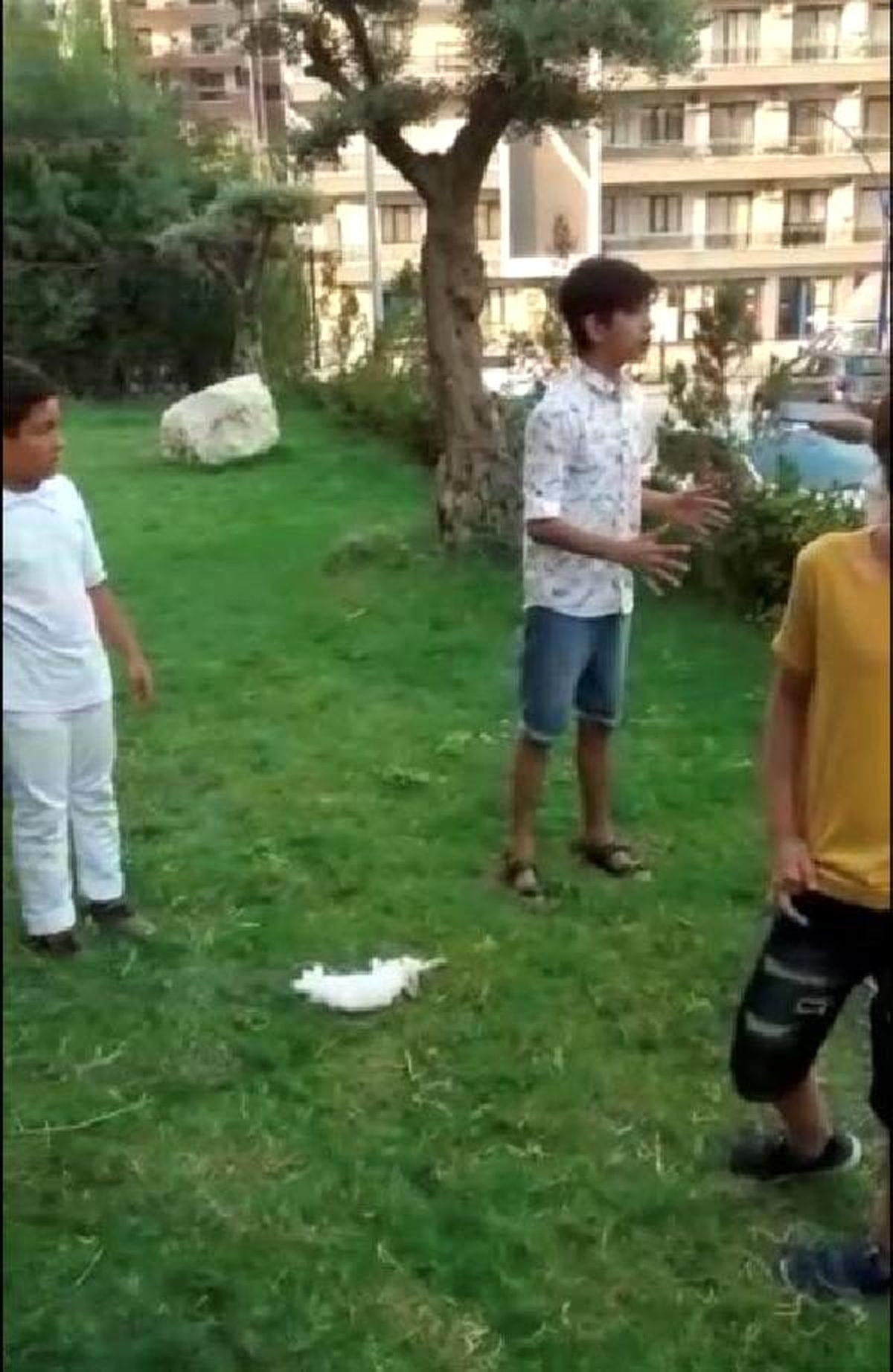 Manisa\'da 8\'inci kattan düşüp ölen tavşan için \'atıldı\' iddiası