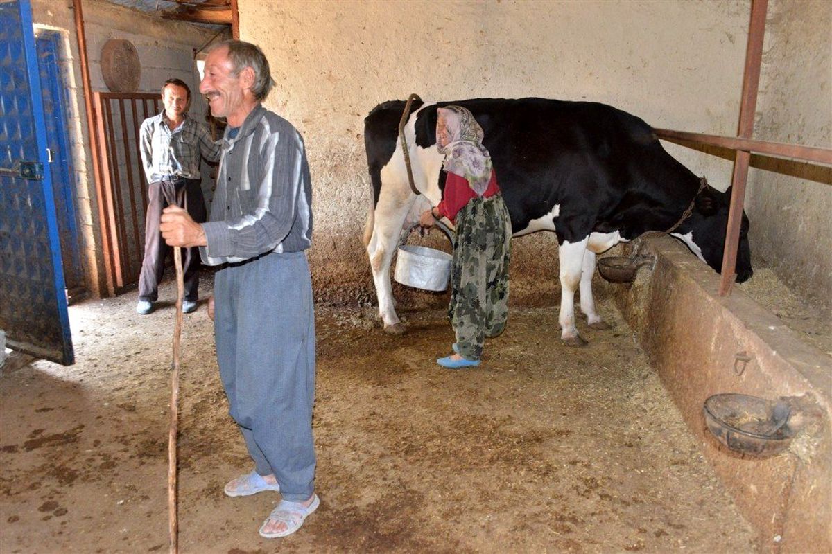Mersin Orman Bölge Müdürlüğünden 129 aileye 3,5 milyon lira ORKÖY kredisi