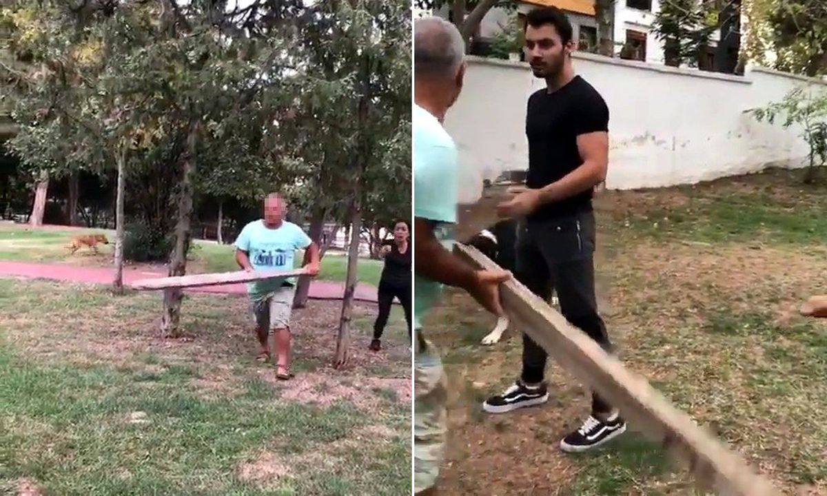 (Özel) Babasını ısırdığı iddia edilen sokak köpeğine kalasla saldırdı