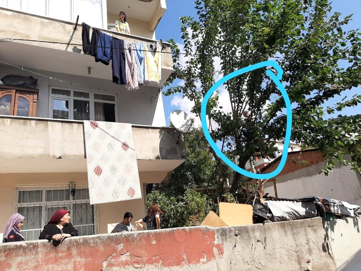 (Özel) Tırtıllar yüzünden canından oluyordu
