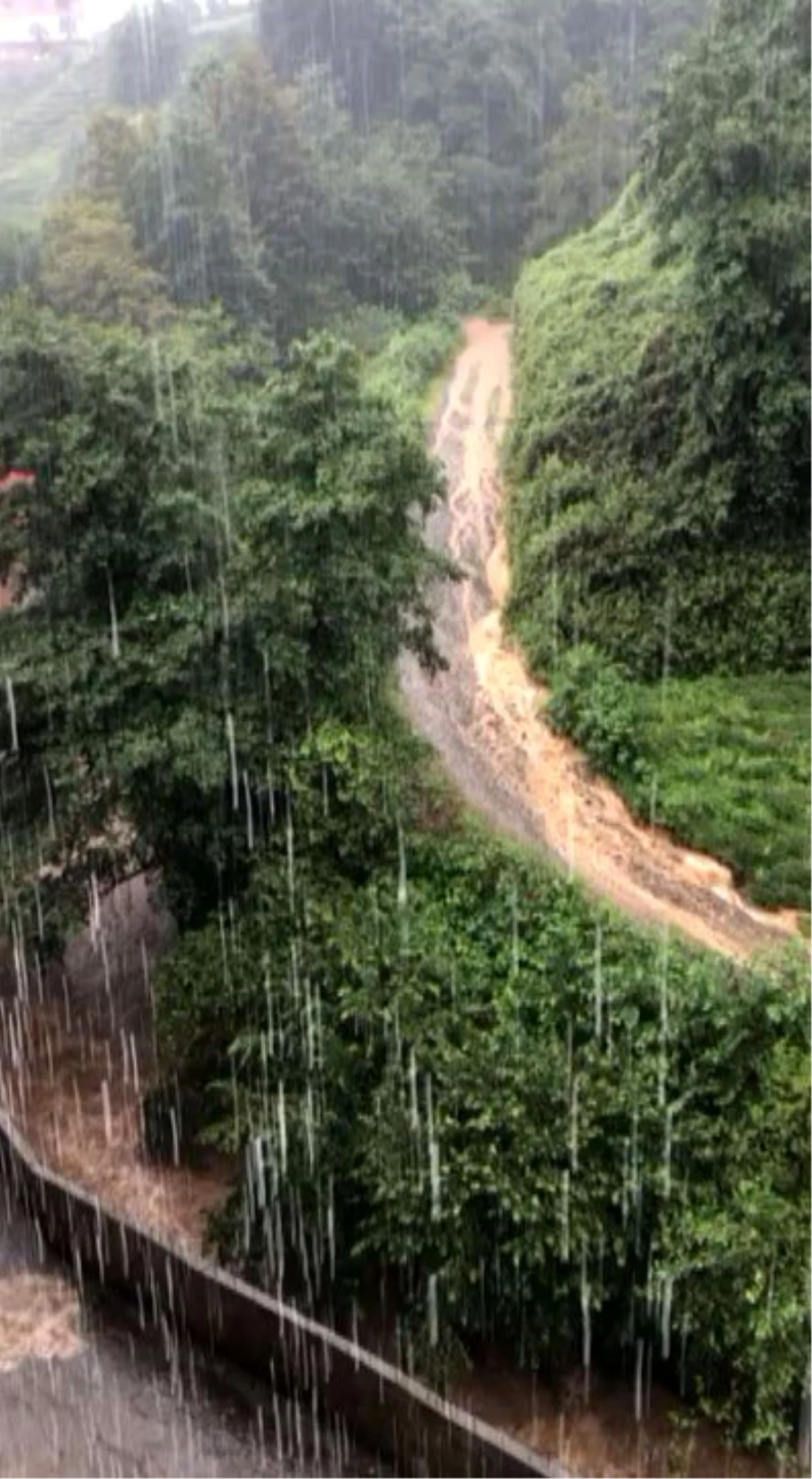 Rize\'nin Derepazarı ilçesinde etkili olan yağış hayatı olumsuz etkiledi